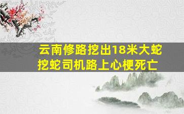 云南修路挖出18米大蛇 挖蛇司机路上心梗死亡